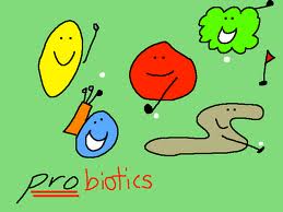 A Heatlhy Gut Needs Probiotics