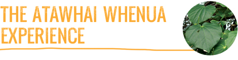 atawhai-whenua