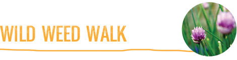 wild-weed-walk