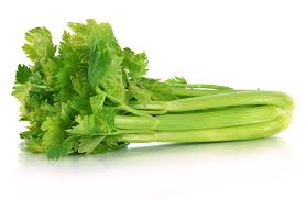 Celery is easy to grow at home...