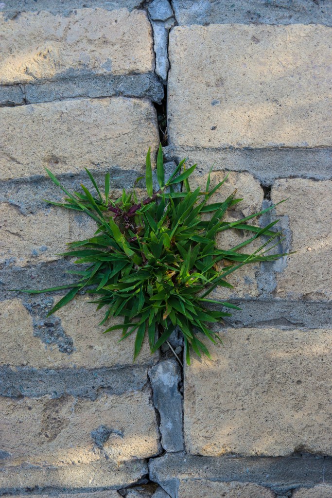 The current image has no alternative text. The file name is: mr-pugo-q1wwpk0ho5k-unsplash.jpg